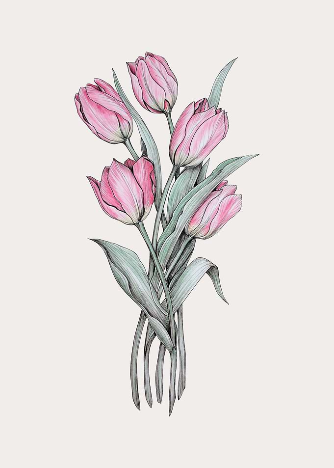 Bouquet of tulips