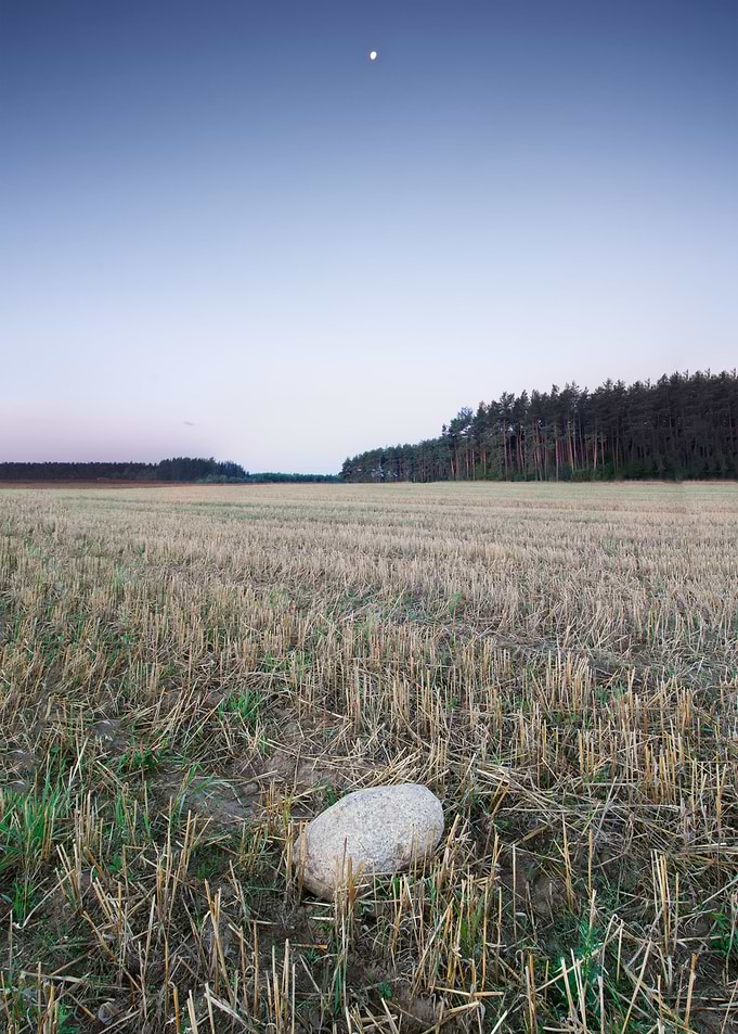 Poland Plain Purple Rural
