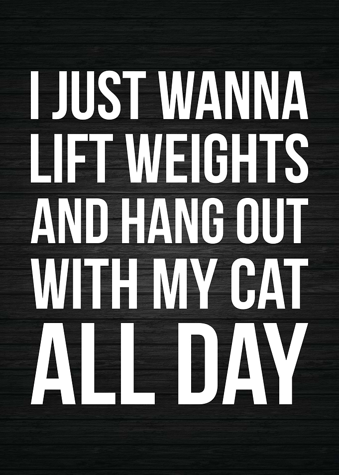 Lift Weights and Cat