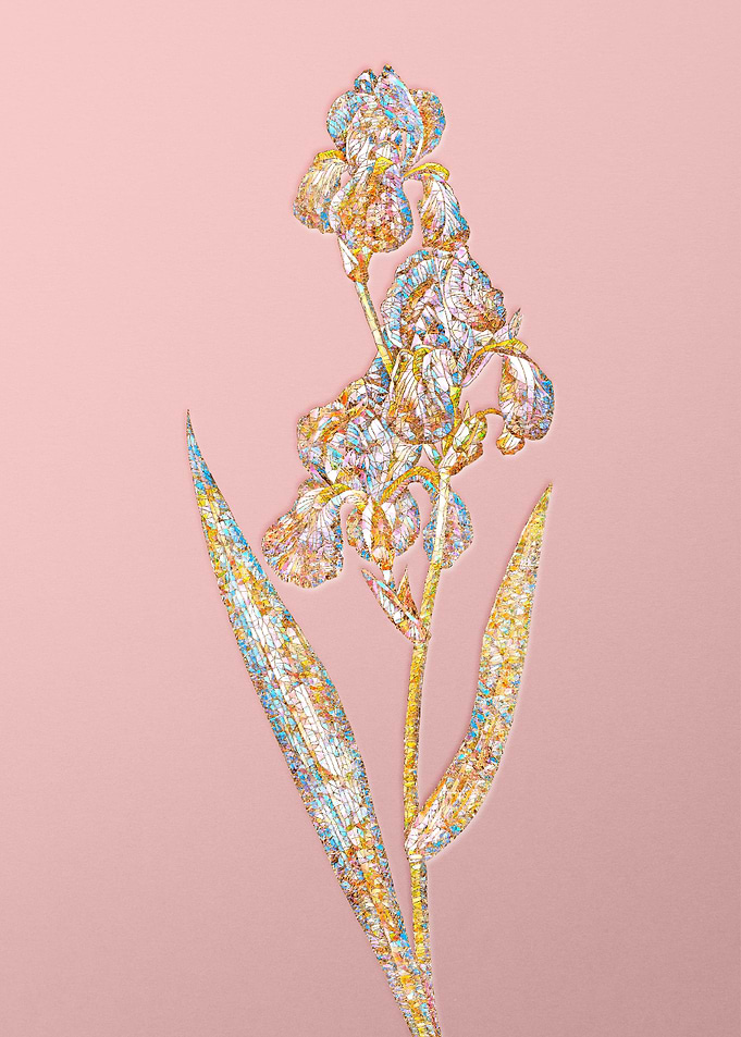 Pink Rainbow Mosaic Flower