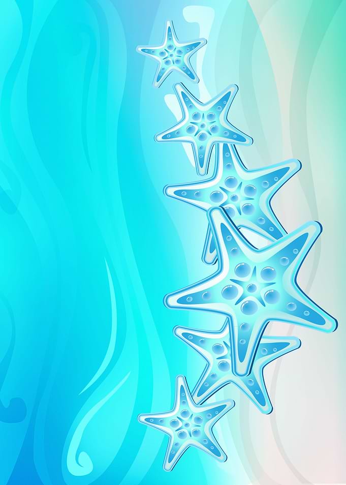 Starfishes G217
