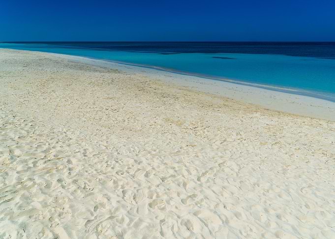 The beach