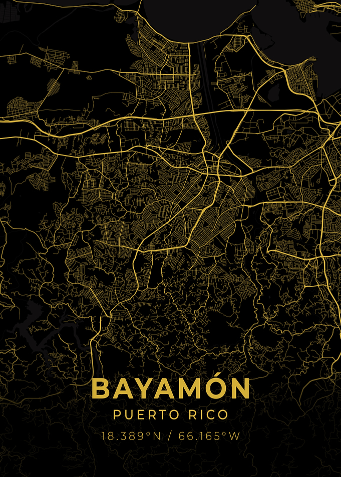 Bayamon Puerto Rico