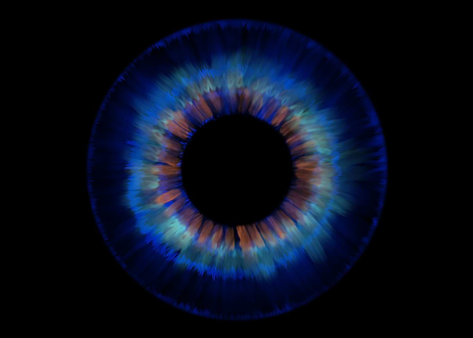 Eye