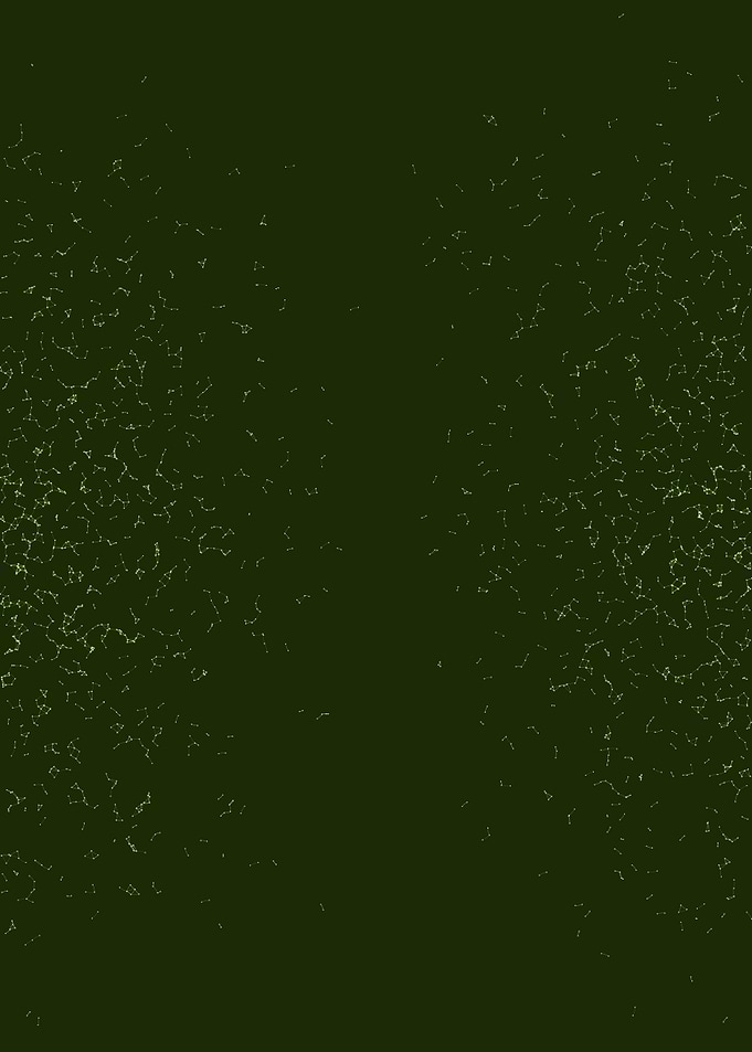 Network Mesh