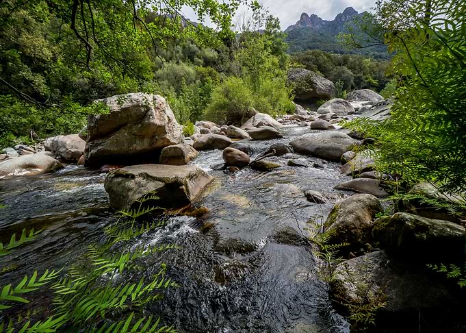 Small stream