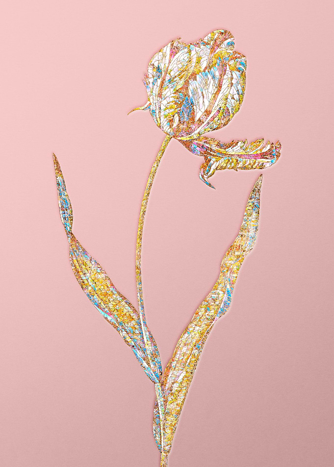 Pink Rainbow Mosaic Tulip