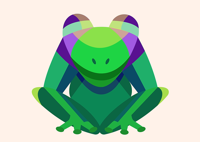 Silent Frog