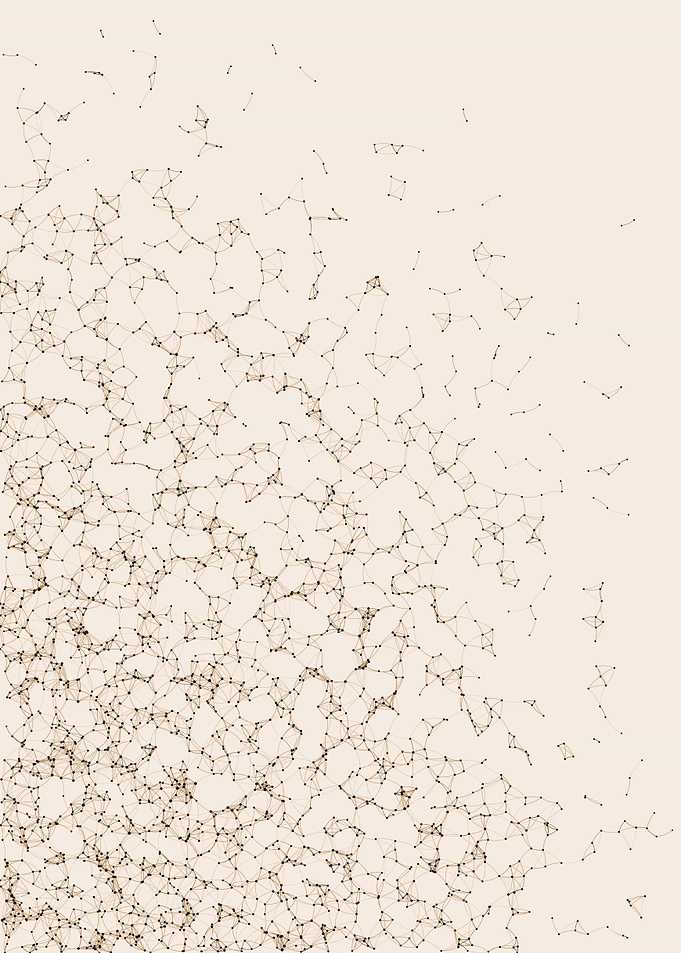 Network Mesh