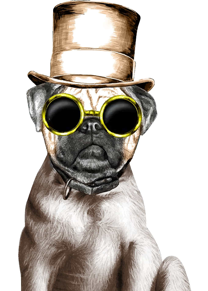 Steam Pug