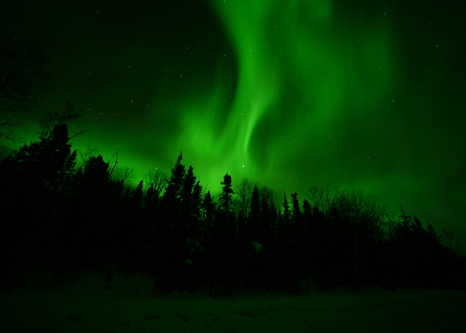 Fire of the Aurora