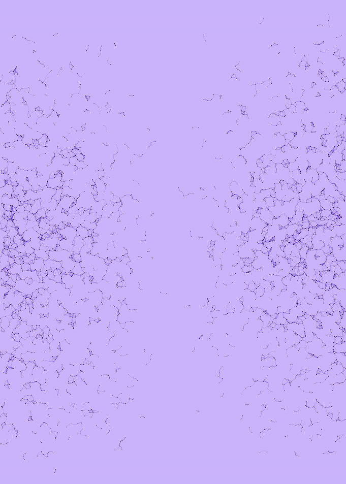 Network Mesh