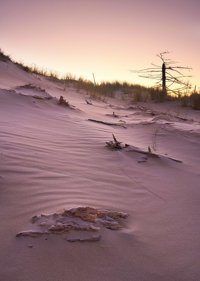 Sea Dry Hot Park Sand Dune
