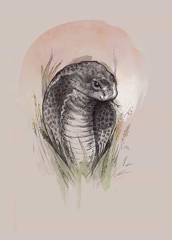 Decent Snake