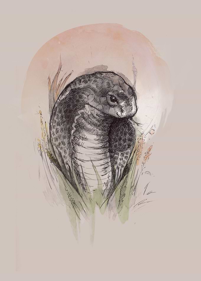 Decent Snake