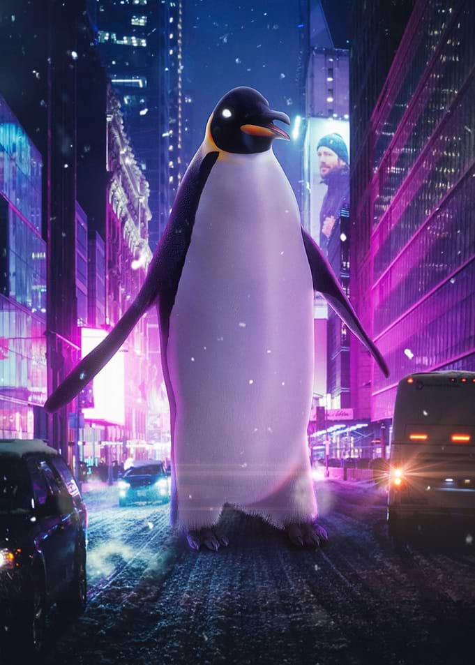 Penguins day out
