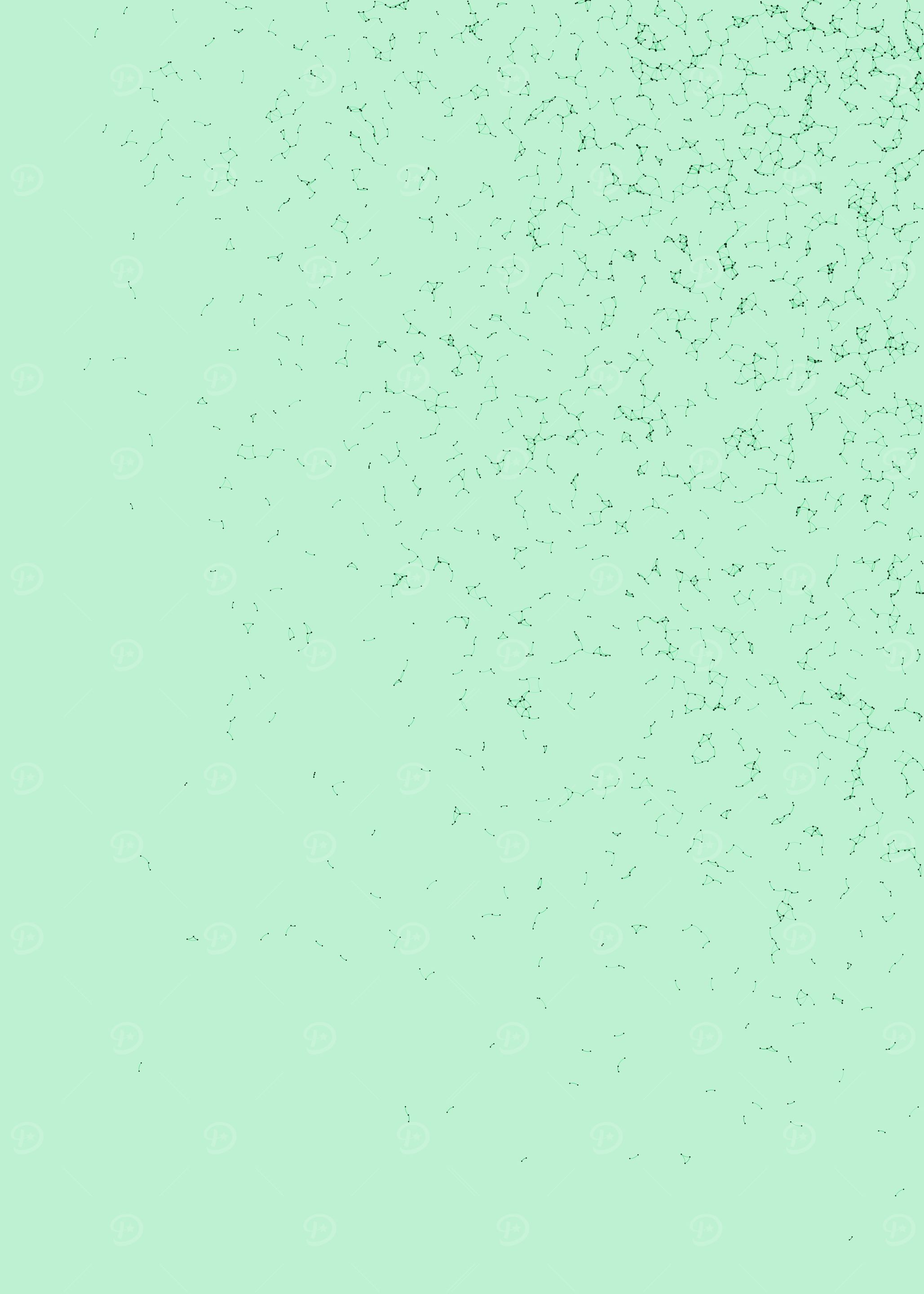 Network Mesh