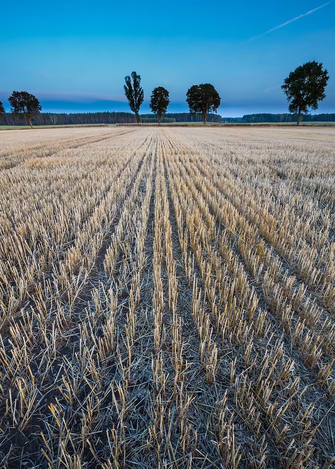 Agriculture Nature Harvest
