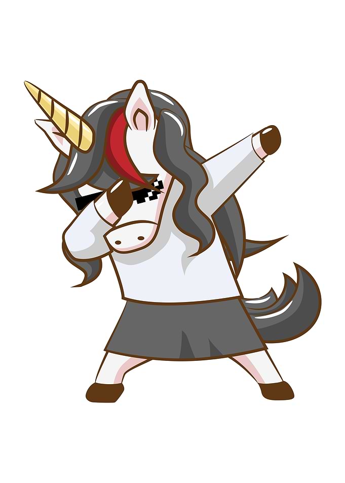 Casual Unicorn 2