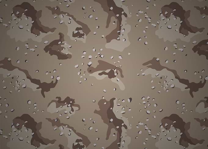 Desert Camo
