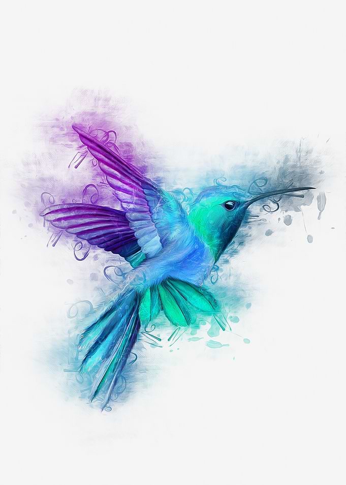 Humming Bird