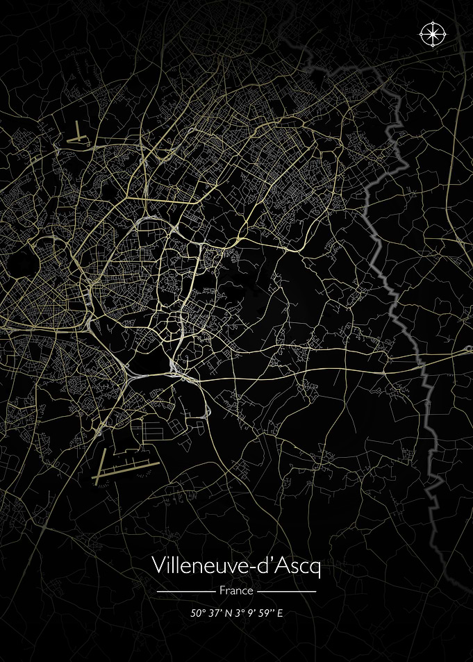 Villeneuve d Ascq