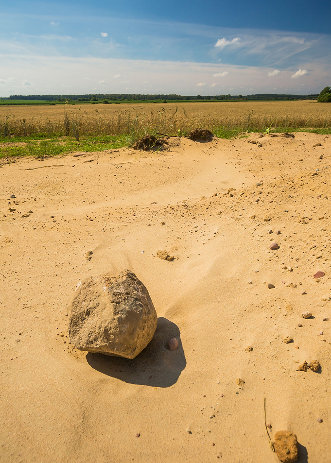 Dry Grass Landscape Nature