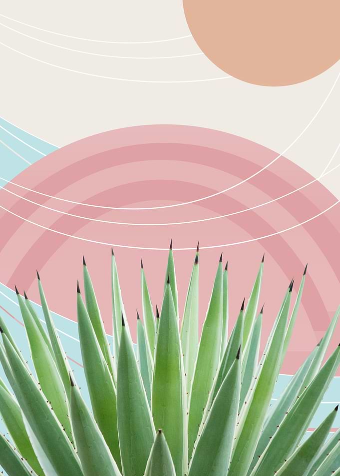 Agave Desert Oasis 2