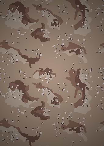Desert Camo