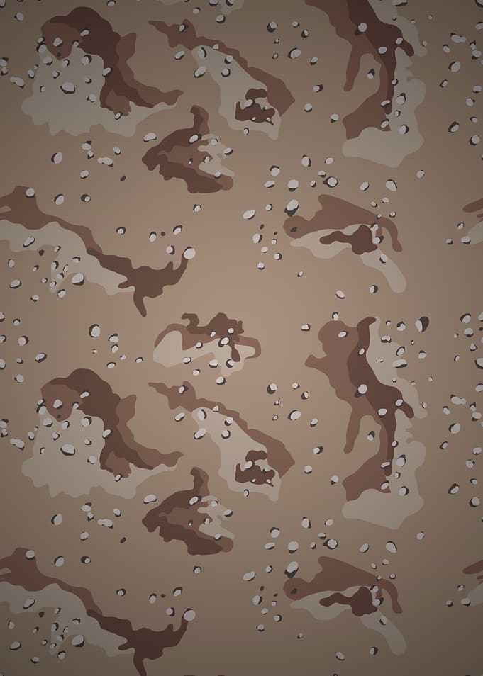 Desert Camo