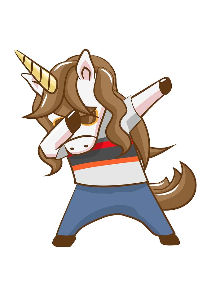 Casual Unicorn