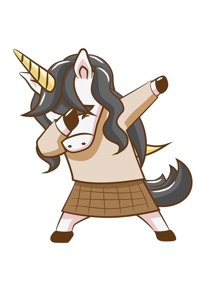 Casual Unicorn 2