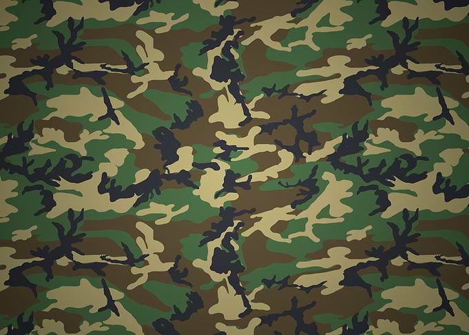 Woodland Camo
