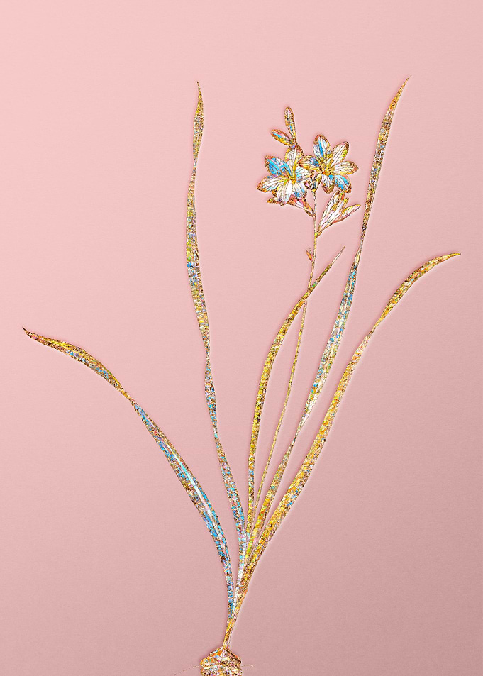 Pink Rainbow Mosaic Flower