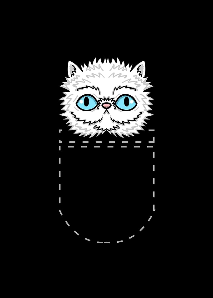 Pocket Persian Cat
