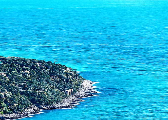 Cap Martin in the Riviera