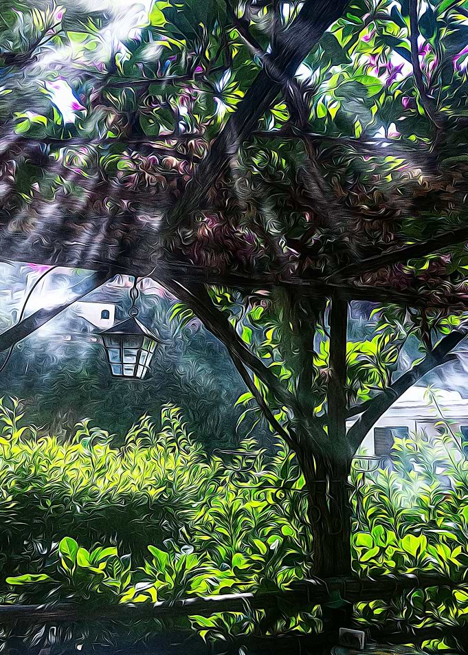 Porch of climbing plants