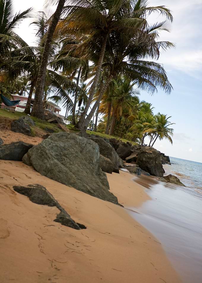 Puerto Rico Beach Tropical