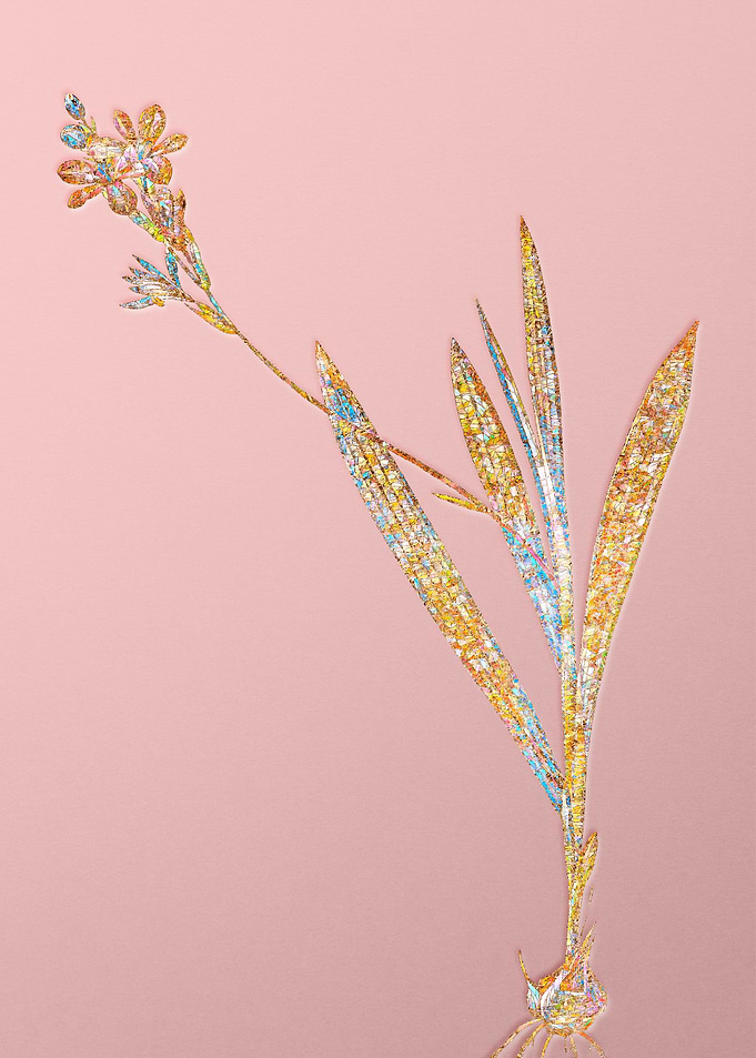 Pink Rainbow Mosaic Flower
