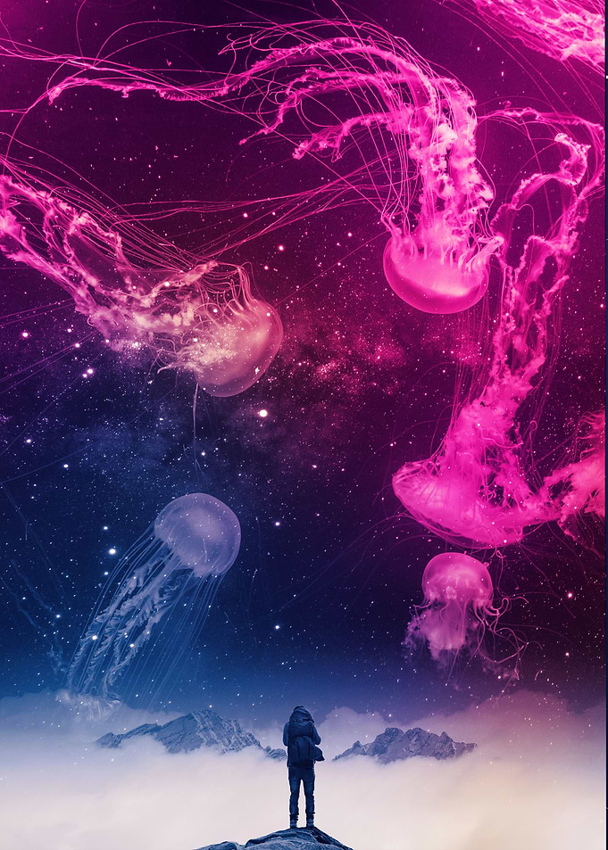 Jellyfish