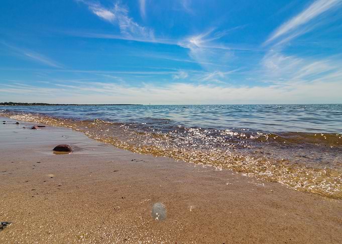 Beach at the swedisch sea