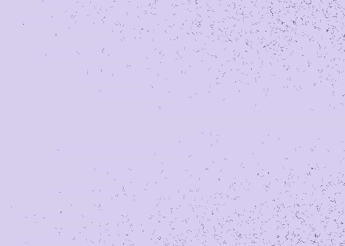 Network Mesh
