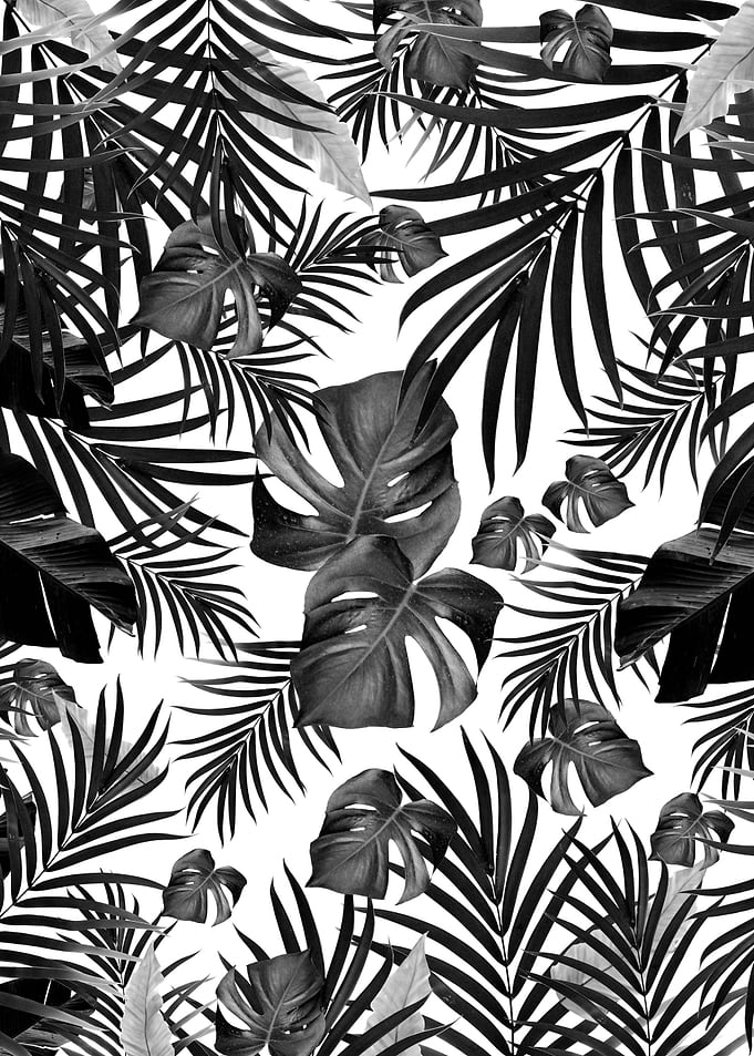 Tropical Jungle Leaves 10