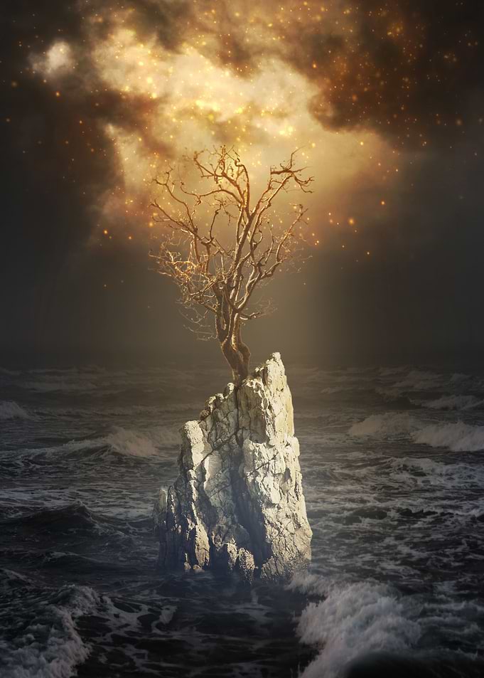 Mysterious tree on a rock