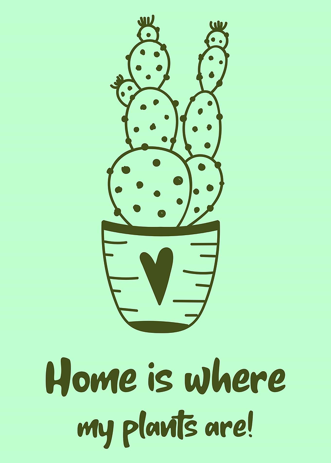 Home is where my plant are