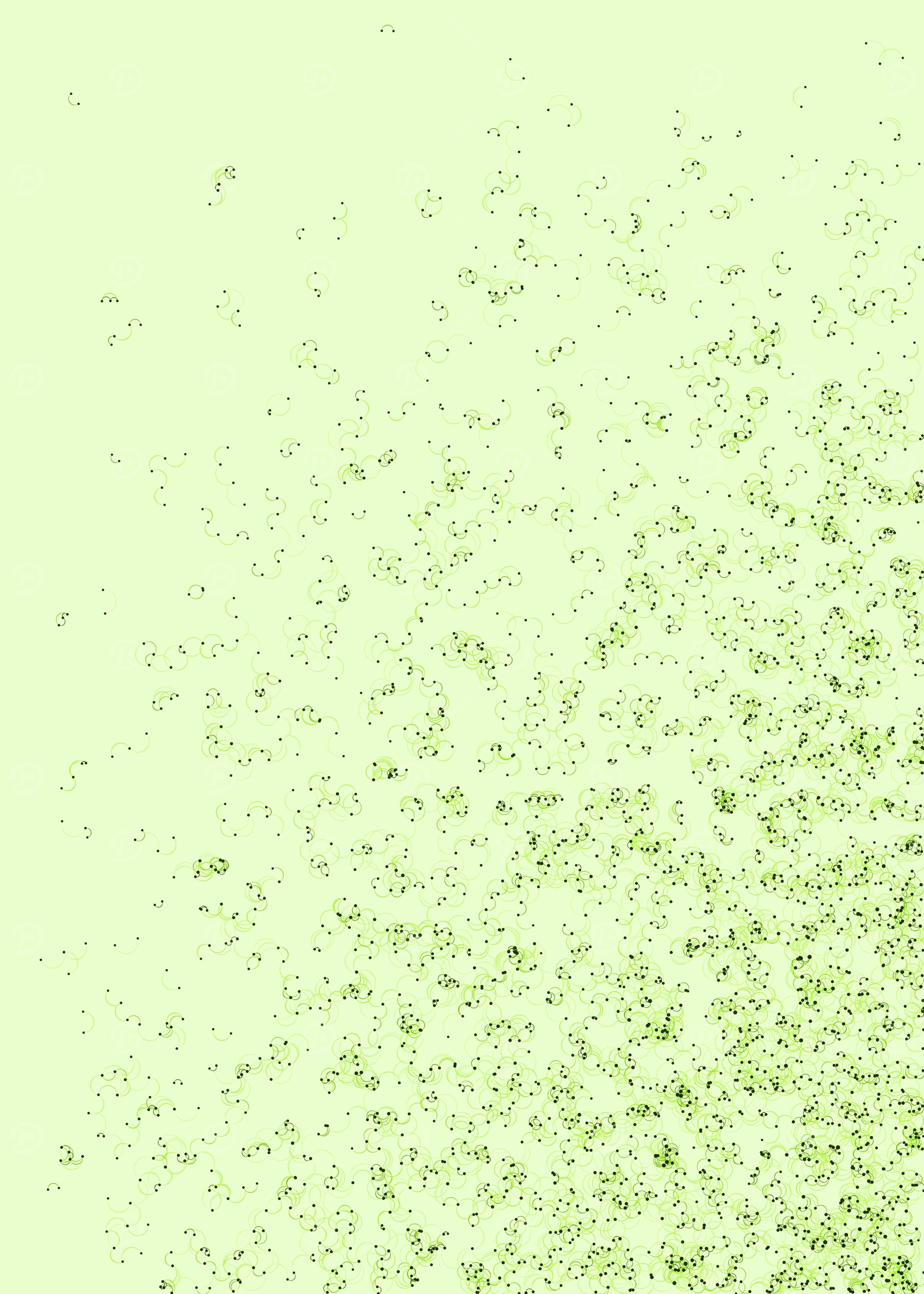 Network Mesh