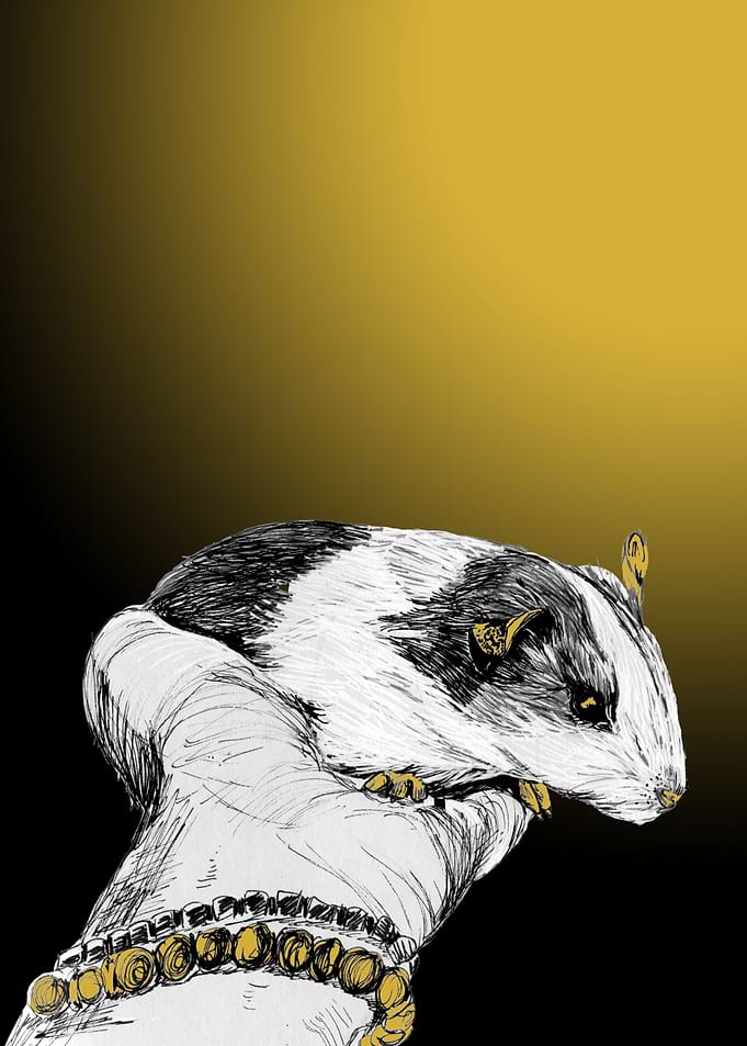 Guinea Pig