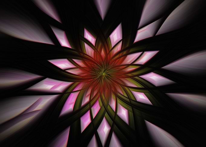 Pink flower abstract