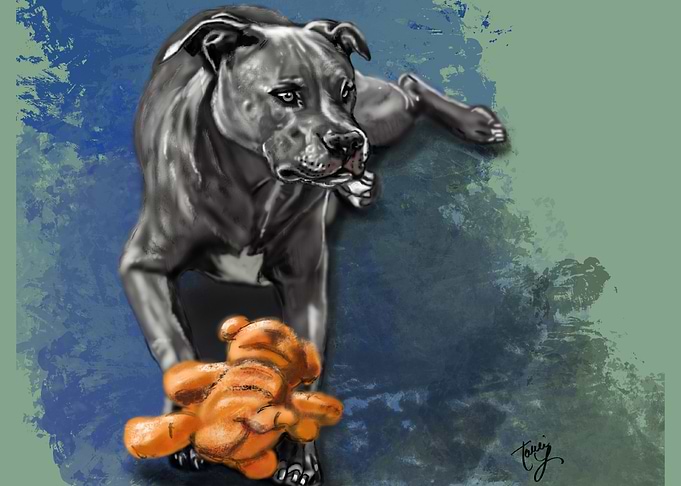 Pitbull