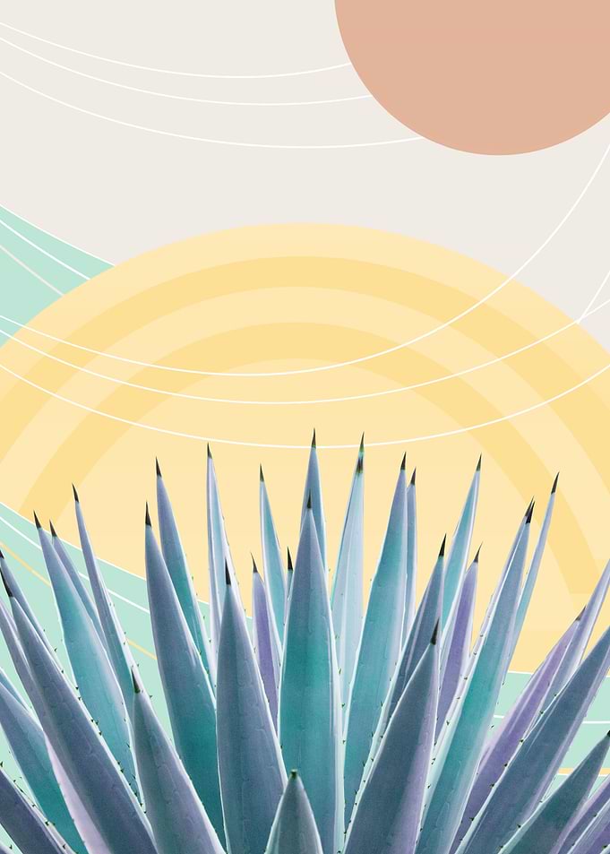 Agave Desert Oasis 3